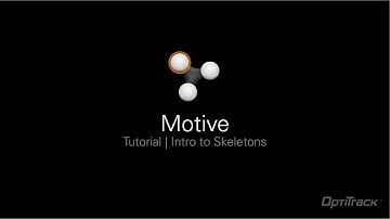 Motive Tutorial | Intro to Skeletons