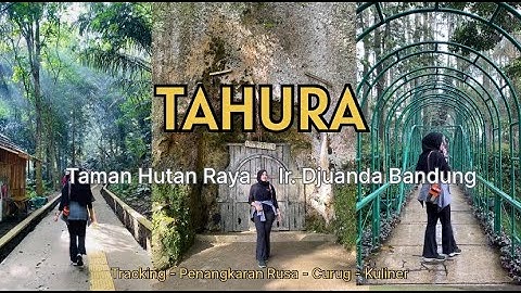 TAHURA BANDUNG | Taman Hutan Raya Dago Bandung | Tracking, Gua Jepang, Gua Belanda, Curug, Wisata