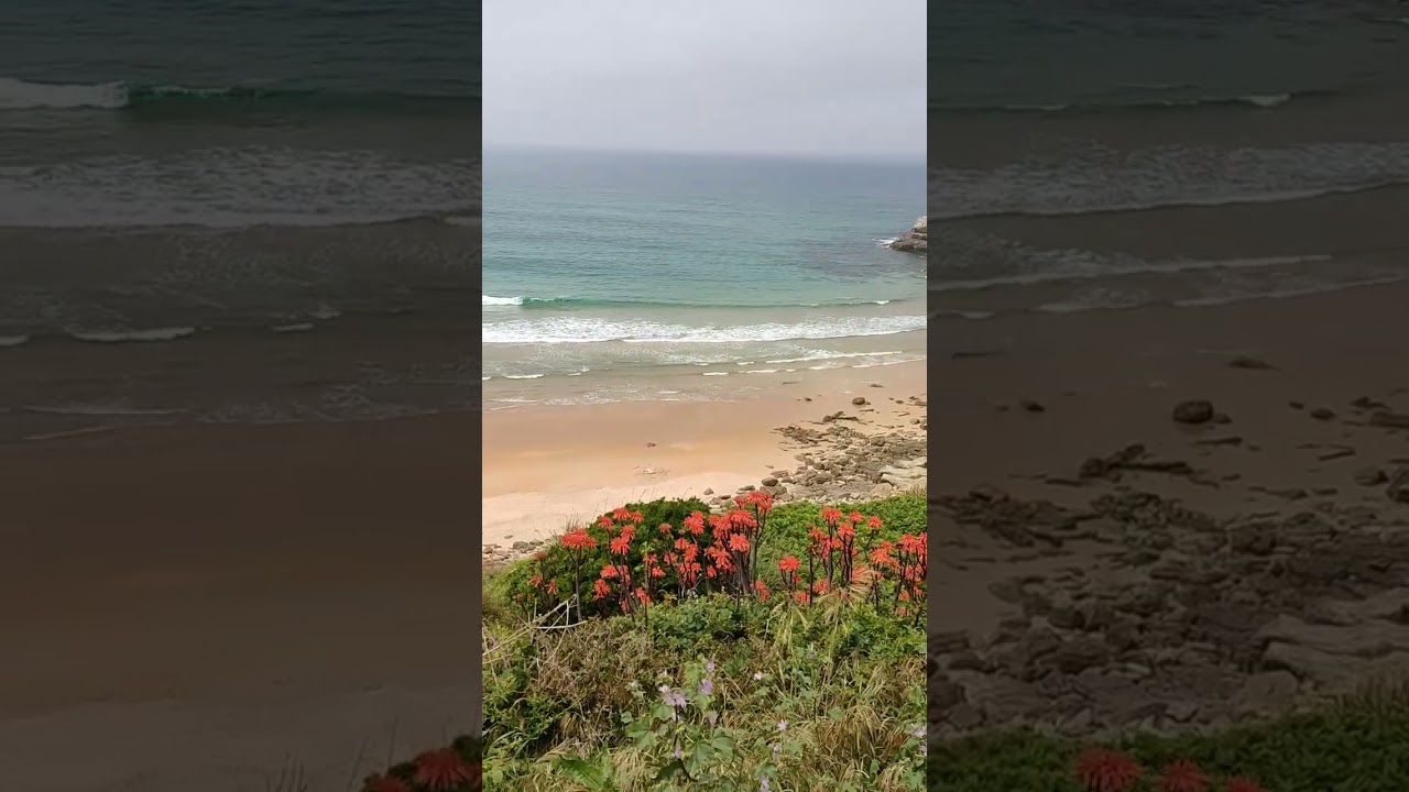 Playa de los locos Suances #suances #surf #cantabria