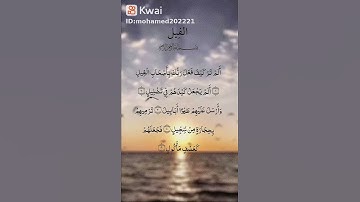 سورة الفيل بصوت الشيخ عبدالرحمان السديس