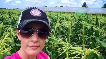 Women in the Agricultural Workplace: A Documentary by AgCareers.com