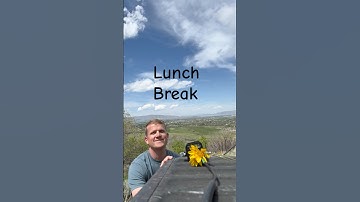 Code Break #morsecode #hamradio