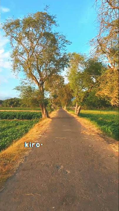 Story WA Perjalanan Aesthetic | Yo Wes Modaro Remix (Mbok Yo Tulung Sadaro)