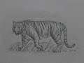 Как нарисовать тигра. Wie man einen Tiger zeichnet