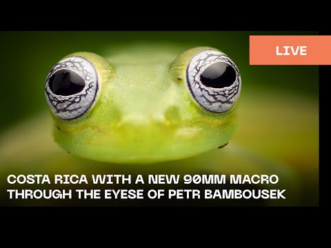 COSTA RICA WITH A NEW 90MM MACRO THROUGH THE EYES OF PETR BAMBOUSEK