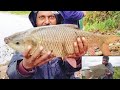 Jazakallah catching big size fishes  in dam backwater subscribe junaid fishing