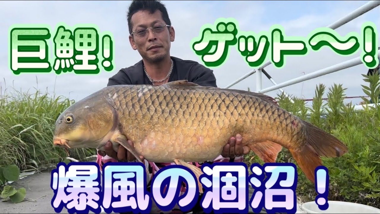 石くんの鯉釣り105爆風の涸沼！編！ - YouTube