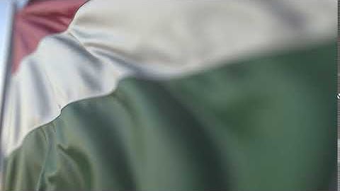 Waving Flag of Hungary | Motion Background Animation Videos | No Copyright | Visual Effects Video.