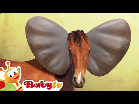 Elephant Riddle Games With Animals BabyTV 