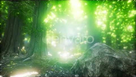 Morning in the Misty Spring Forest with Sun Rays | Motion Graphics - Envato elements