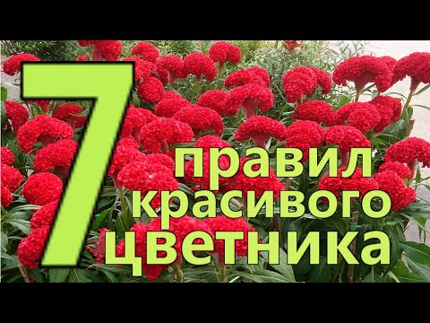 7 ПРАВИЛ СОЗДАНИЯ КРАСИВОГО ЦВЕТНИКА или  КЛУМБЫ. Подбор красивых ЦВЕТОВ и РАСТЕНИЙ для ЦВЕТНИКА.