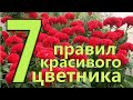 7 ПРАВИЛ СОЗДАНИЯ КРАСИВОГО ЦВЕТНИКА или  КЛУМБЫ. Подбор красивых ЦВЕТОВ и РАСТЕНИЙ для ЦВЕТНИКА.