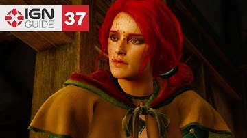 The Witcher 3: Wild Hunt  Walkthrough Part 37 - Count Reuven