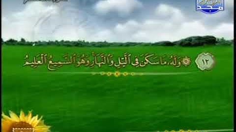 ما تيسر من سورة الأنعام عبد المنعم عبد المبدئ