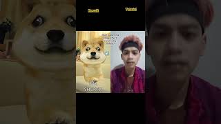 tutorial doge 👈🏻 trend !  #funny #duet #trending