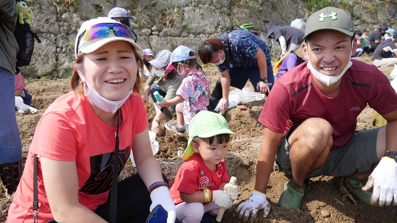 親子芋ほり