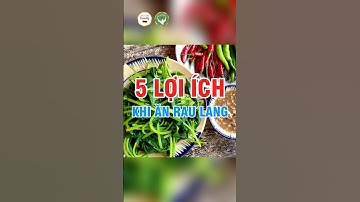 5 Lợi Ích Bất Ngờ Khi Ăn Rau Lang – Loại Rau Rẻ Tiền Nhưng Tốt Cho Sức Khỏe | Đức Phương Sức Khỏe