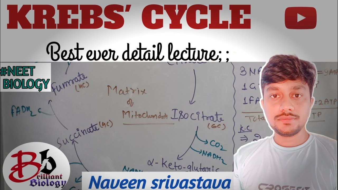 KREBS CYCLE :A best ever detail lecture video;