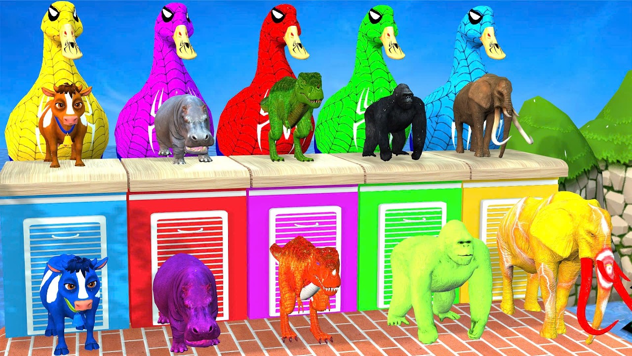 A fun 3D slide game featuring zoo animals – Animal Adventures