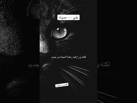 بقي٠٠٠صوته لم يعد له أثر سوى صوته صوت الحكاية خاطره صوت حياة إلهام أنوثة أبقلم سلمى الهاشمي