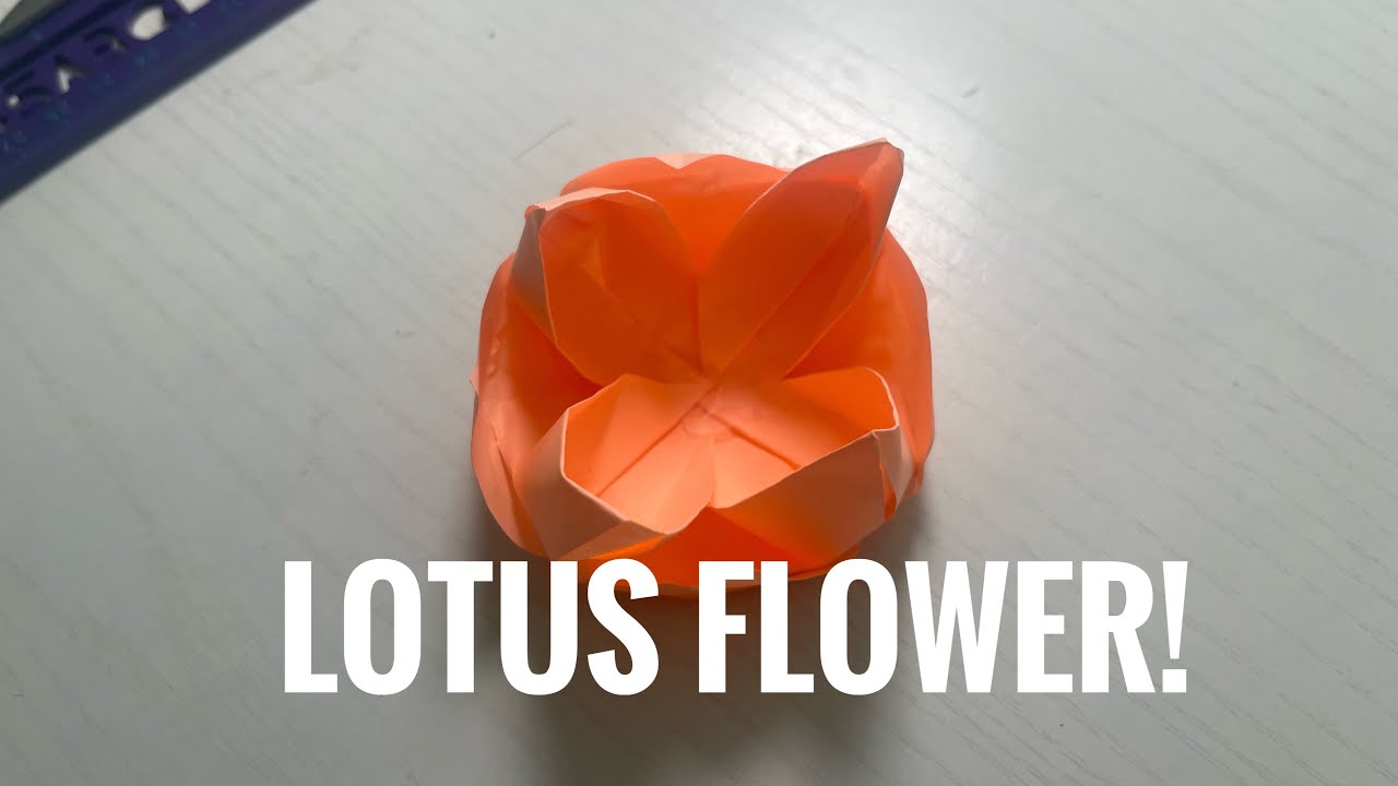 Origami Lotus Flower! 🪷 