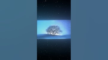 سورة الدخان|43-47|القارئ:#محمد_اللحيدان #قران #quran #راحة_نفسية #قران_كريم #تلاوة_هادئة#تلاوة_خاشعة