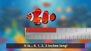 [2.MD.2] Length in Different Units