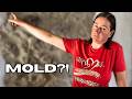 THIS IS DAMAGING OUR STONE BARN | Mold Problem