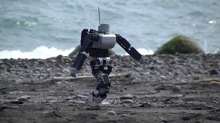 砂浜を歩くヒューマノイドロボット(The humanoid robot which walks the sandy beach.)