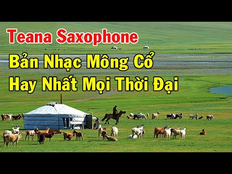 Teana Saxophone Mông