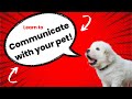 Secrets for Communicating With Your Pets