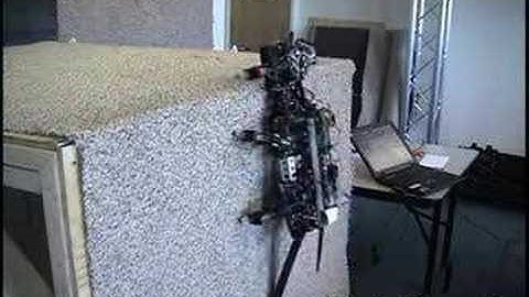 RiSE: The Amazing Climbing Robot