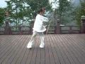 Wudang Bagua Zhang by Yuan Li MIn disciple Wei Xin 武当八卦掌