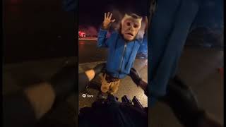 Monkey arrest! 🐒 #memes #funny #funnymemes #relatable #cat #cute #viralmemes
