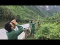 Bắt Tổ Ong Đất Vàng Tại Quảng Trị / Săn Bắt và Trải Nghiệm