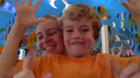 CC Cycle 2 Week 8,  Science Aquatic Biomes