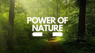 Elevate Your Well-Being: The Healing Power of Nature for Relaxation and Stress Relief