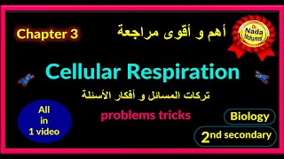 biology l 2nd secondary l Cellular Respiration - revision (tricks & ideas) l مراجعه ثانيه ثانوى لغات