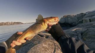 Torskefiske I Agdenes