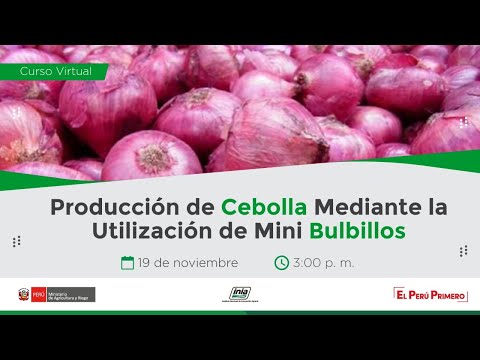 Vídeo: Jardineria de les Grans Planes: plantació de juny a la regió de les Rocalloses del Nord