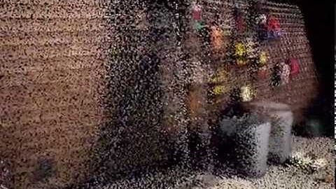 SiteScape Point Cloud LiDAR Scan - Garage
