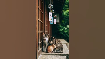 Heartwarming Moment💖 Cats & Kitten with Wind Chimes: A Serene Japanese Summer Scene 🐾