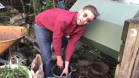 Composting with Biochar