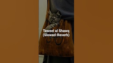 Thumbnail of Taweel al shawq - slowed-reverb #nasheed #sad nasheed
