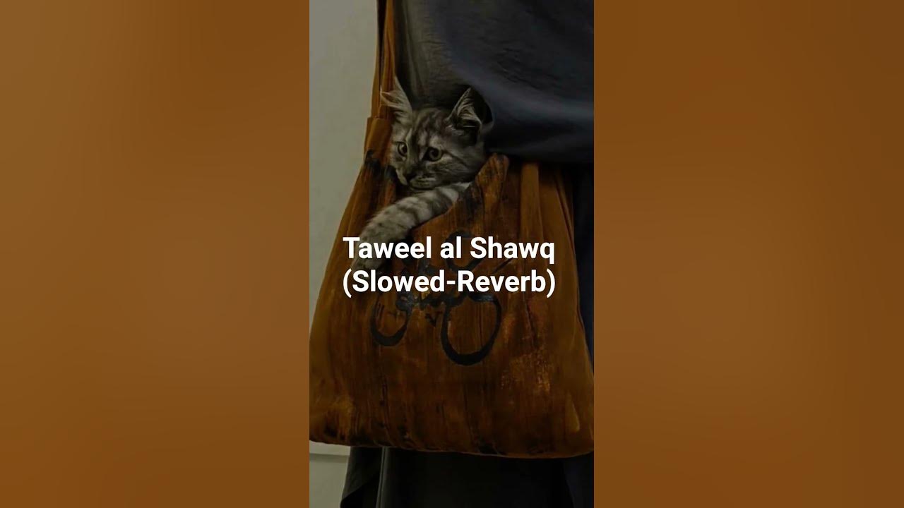 Taweel al shawq - slowed-reverb #nasheed #sad nasheed