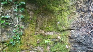 Mi̇hrap İşareti̇ni̇n Büyük Hazi̇nesi̇