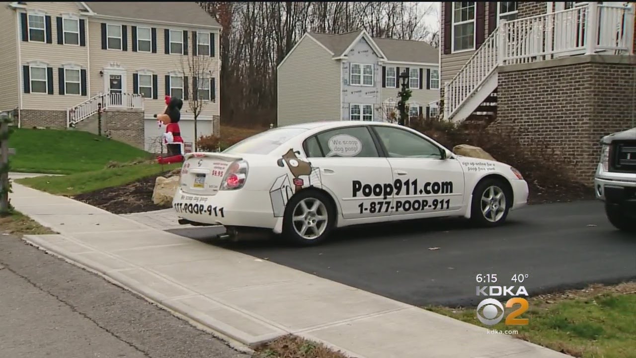 dog poop removal companies near me