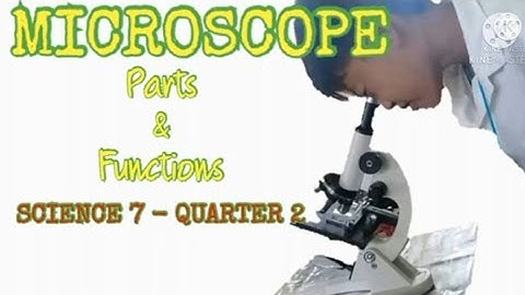 MICROSCOPE | PARTS AND FUNCTIONS | SCIENCE 7-QUARTER 2 | MODULE 1