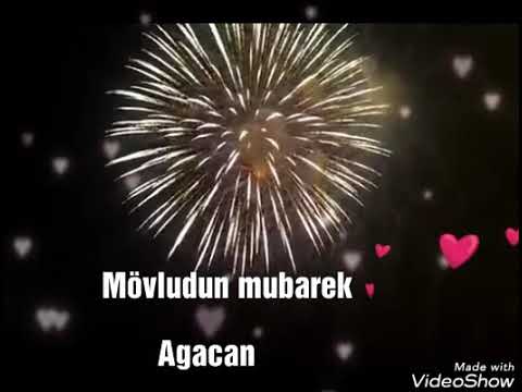 Mövludun mübarək Ağacan.