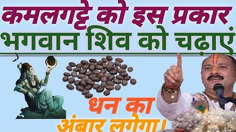 कमलगट्टे को इस प्रकार भगवान शिव को चढ़ाएं धन का अंबार लगेगा,यह उपाय जरुर से जरुर करें #shivmahapuran